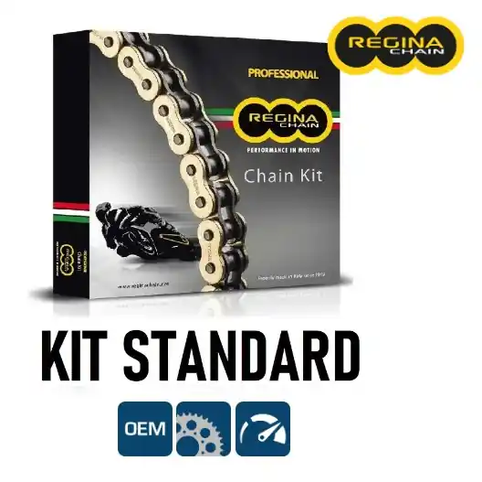 Soddisfatti O Rimborsati Ducati 696 monster 696 regina kit catena corona pignone 2008 2014