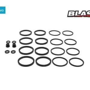 Spedizione Espresso Honda cbr 1000 ra fireblade abs 1000 kit revisione 2 pinze anteriori 2009 2012