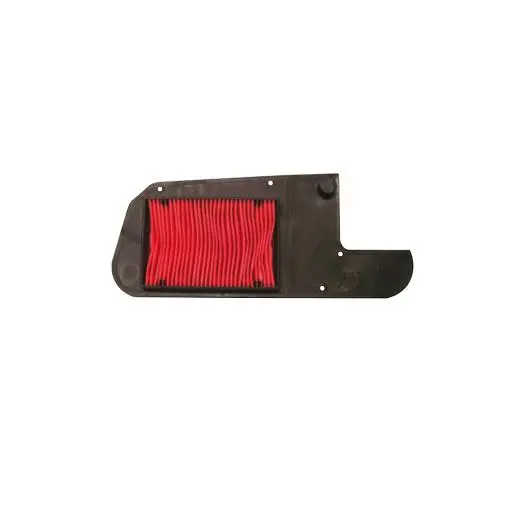 Acquista Ora Honda fes 125 a s-wing abs 125 filtro aria 2007 2010