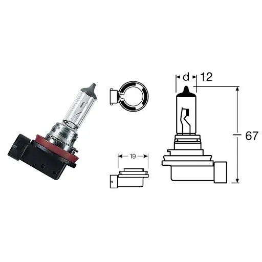 Lampada h8 alogena 12v 35w pgj19-1 bcr Scelto Dai Clienti