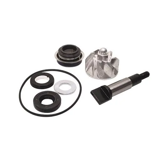 Honda anf 125 innova 125 kit revisione pompa acqua bcr 2005 2005 Bestseller
