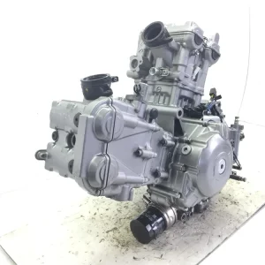 Reso Gratuito Suzuki dl v-strom abs 650 blocco motore engine mod: p513 2014 2014 c7111