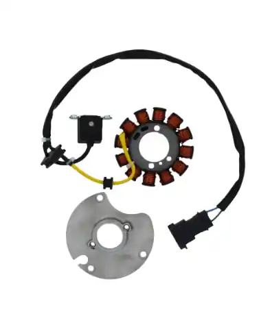 Professionale Aprilia rs4 50 statore 2018 2019 1a008838