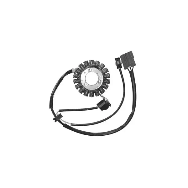 Cf moto cf t-21a e-charm ie 125 statore ducati energia 2010 2011 Spedizione Gratuita