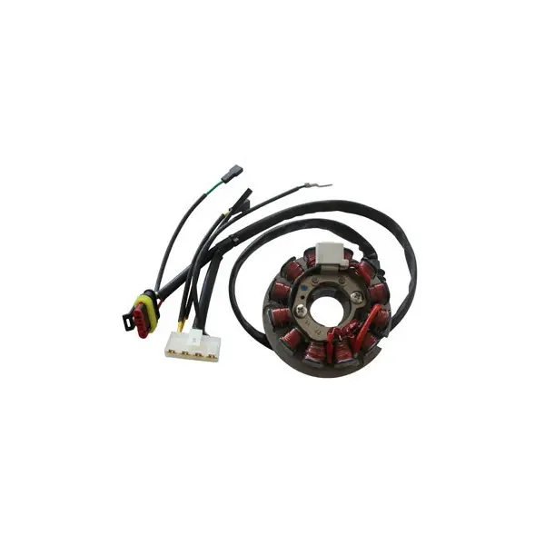 Scelto Dai Clienti Hm cre derapage competition 50 statore 12 poli ducati 2006 2009