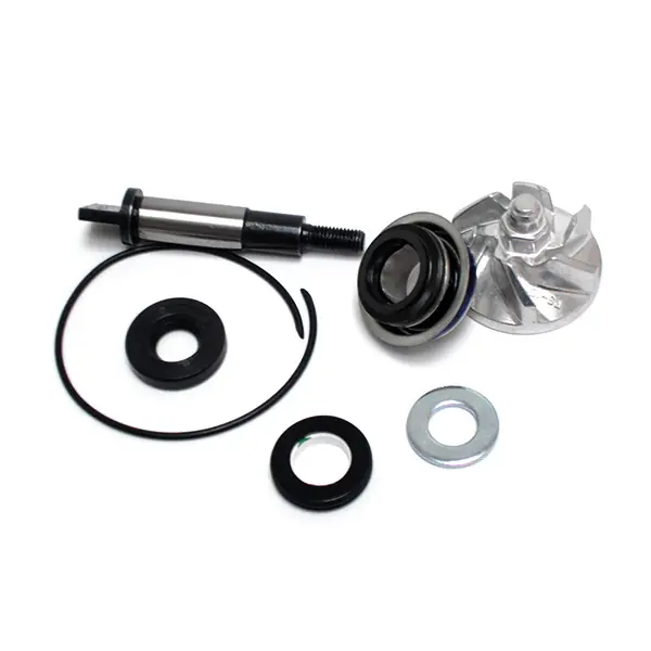 Subito Disponibile Honda nss forza a abs (mf10) 250 kit riparazione pompa acqua 2008 2012