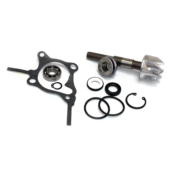 Spedizione Gratuita Honda fes foresight (mf04/mf05) 250 kit riparazione pompa acqua 1997 2006