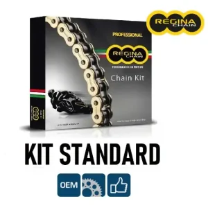 A Buon Prezzo Aprilia etv caponord abs 1000 regina kit catena corona pignone 2004 2007 ps004