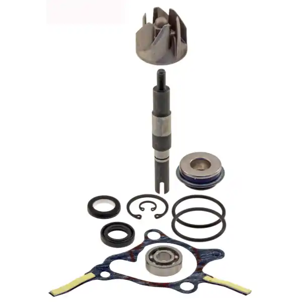 Honda fes 250 foresight 250 kit revisione pompa acqua rms 1998 1999 mf04a Occasione Imperdibile