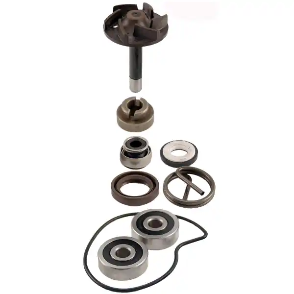 Saldi Aprilia sport city 125 kit revisione pompa acqua rms 2004 2006 vb000 vba00