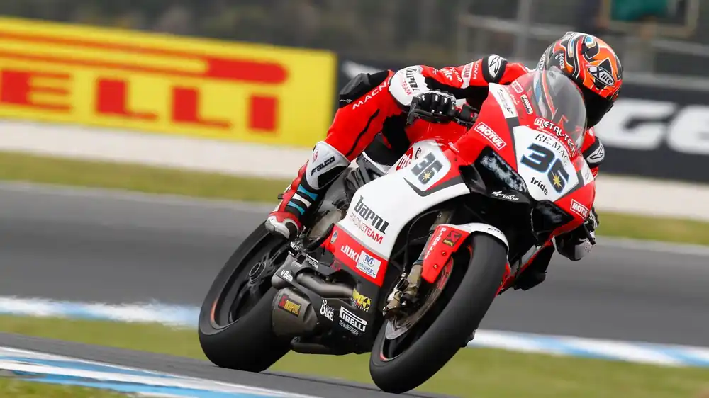 Must-Have Cupolino fabbri ducati 1299 panigale 899 panigale 959 panigale dal 2015 wsbk world superbike
