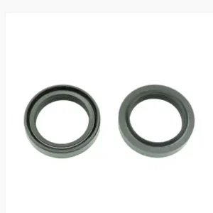 Cagiva progress aria 50 kit paraolio forcella 30x40x7/9 mm 1997 2001 Spedito Oggi