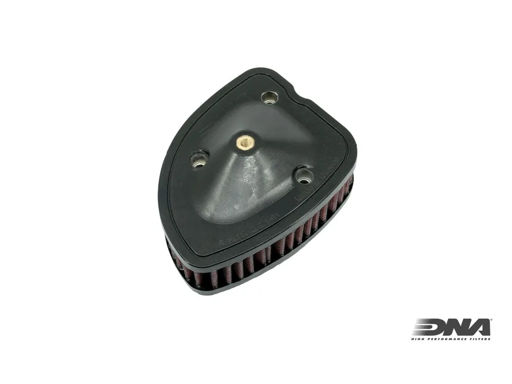 A Buon Prezzo FILTRO ARIA COTONE DNA HD FLHRXS ROAD KING SPECIAL 107 CI 2018-