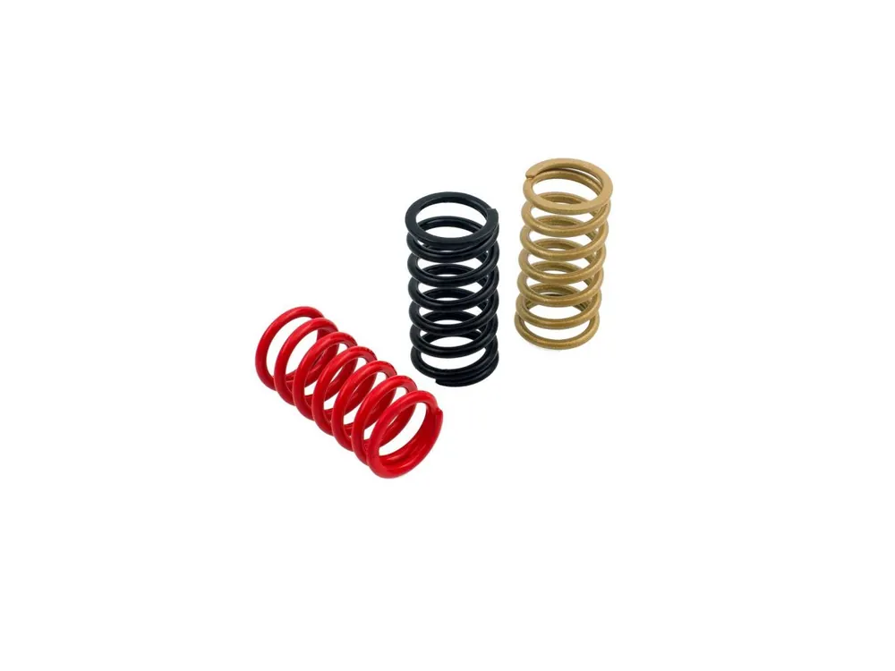 Soddisfatti O Rimborsati MOLLE FRIZIONE H38 CNC RACING DUCATI SS 1000 2003-06-