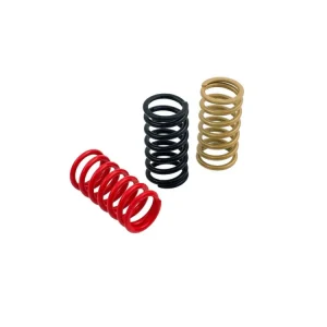 Consegna Rapida MOLLE FRIZIONE H38 CNC RACING DUCATI SPORT 1000 2006-