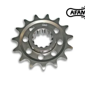PIGNONE AFAM PASSO 525 ACCIAIO DUCATI STREETFIGHTER V4 / S 2020-2022- Offerta Limitata