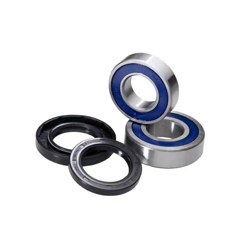 KIT CUSCINETTI PER RUOTA (RIF. ALL-BALLS: 25-1252) Di Tendenza