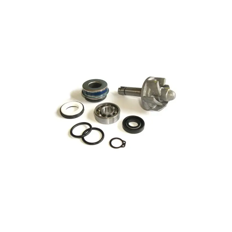 Super Prezzo KIT RIPARAZIONE POMPA ACQUA APRILIA 250 LEONARDO