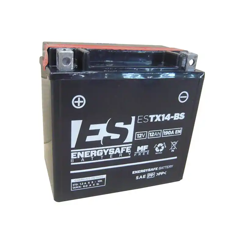 Promozione Esclusiva BATTERIA ENERGYSAFE ESTX14-BS