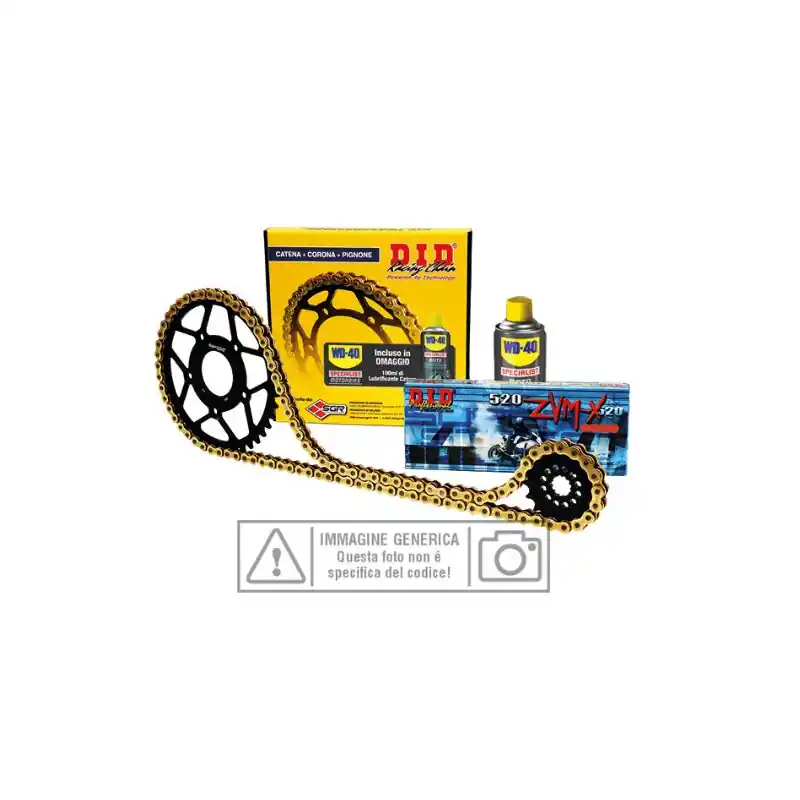 Spedizione Espresso KIT TRASMISSIONE S-AC 14-45-118 DID520VX3 (G&B) R