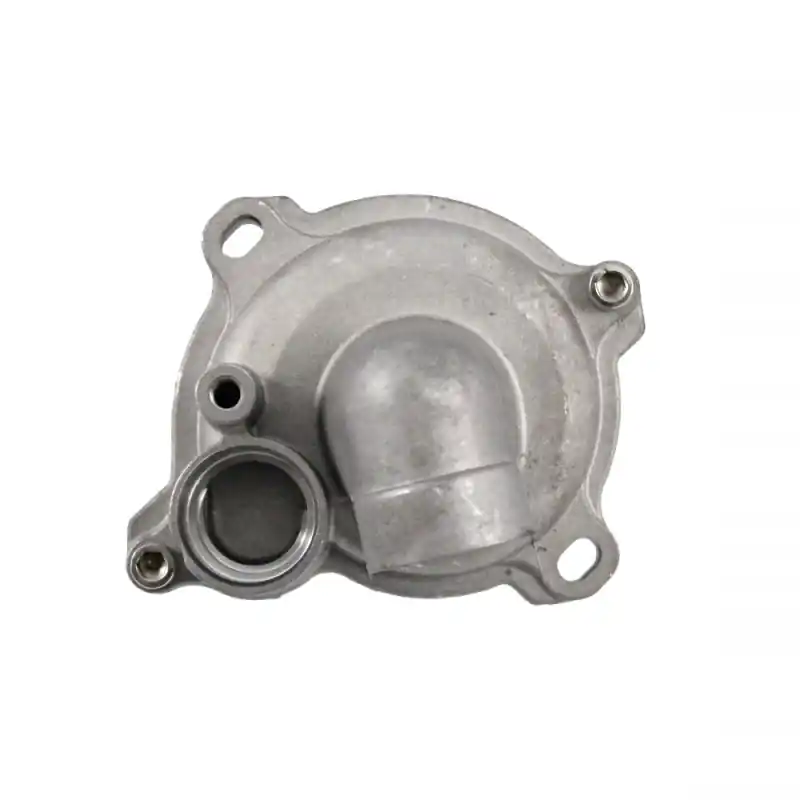 POMPA ACQUA COMPLETA RMS T-MAX 530CC Più Venduto