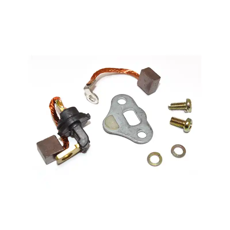 SET SPAZZOLE RICAMBIO MOT. AVV. 1781842 Popolare
