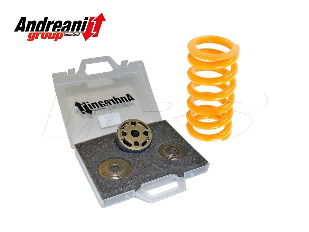 Miglior Prezzo KIT MODIFICA MONO OEM ANDREANI DUCATI MULTISTRADA 1200 2010-2012-