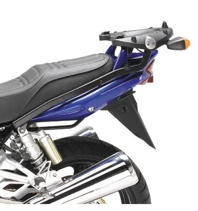 Reso Gratuito Portapacchi Givi Monorack FZ per Suzuki GSX 1400 02-09-