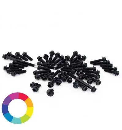 Set bulloneria ergal per carena KTM Duke 790 dal 2018-Argento Spedizione Gratuita