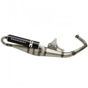 Espansione Tecnigas RS-II per Gilera Typhoon 125/150/180- Professionale
