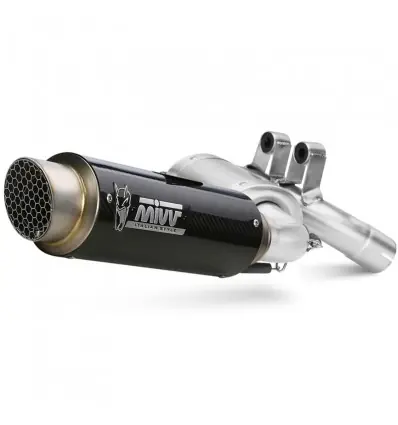 Terminale Mivv GP Pro Carbon per BMW F900 R dal 2020- Professionale