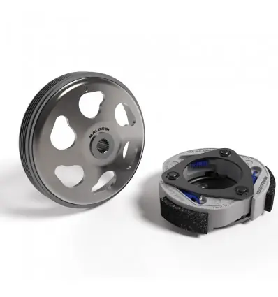 Gruppo frizione e campana Malossi Maxi Fly System per Kymco XTown 125,Downtown 125...- Esclusivo