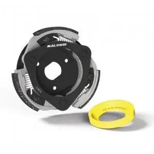 Frizione Malossi Maxi Delta Clutch per Honda Forza 125- Prezzo Conveniente