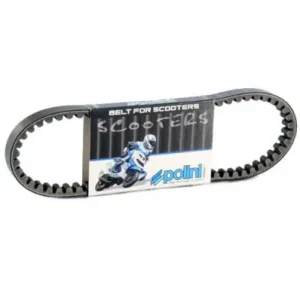 Cinghia Polini Scooter per Honda Zoomer 50- Subito Disponibile