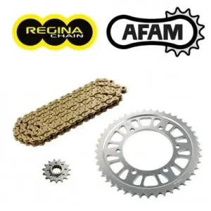 Kit trasmissione Newfren per Honda Integra 700, NC700S, NC700X 12-13- Reso Gratuito