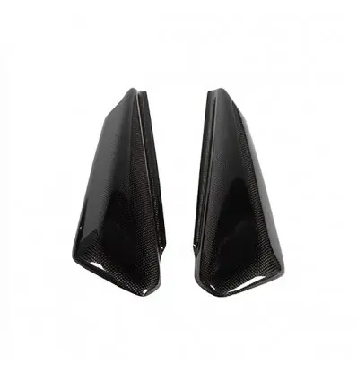 Coppia fianchetti laterali LEA carbonio Ducati Monster senza monobraccio- Offerta Del Giorno