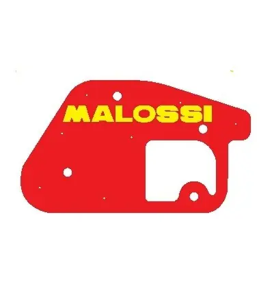 Pagamento Sicuro Spugna filtro Malossi MBK Booster..-