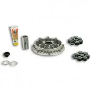Kit Multivar 2000 Malossi Yamaha T-Max 500 01-03- Direttamente Dal Produttore