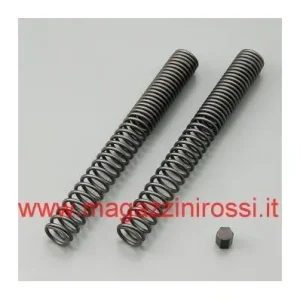 Professionale Molle forcelle RIBASSATE Daytona per Yamaha Majesty 400-