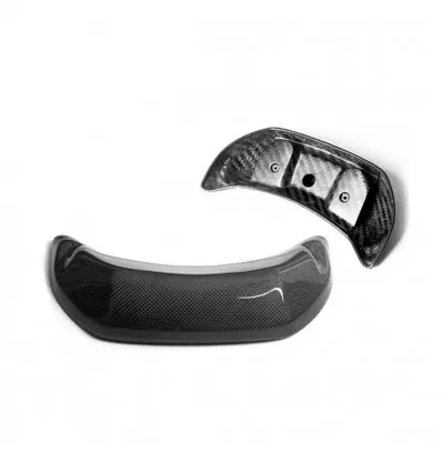Compra Online Cover posteriore schienalino pilota LEA carbonio per Yamaha T-Max 500 08-11 e T-Max 530-