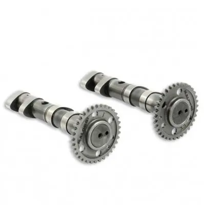 Alberi a camme Malossi Double Power Cam per Yamaha T-Max 500- Affare
