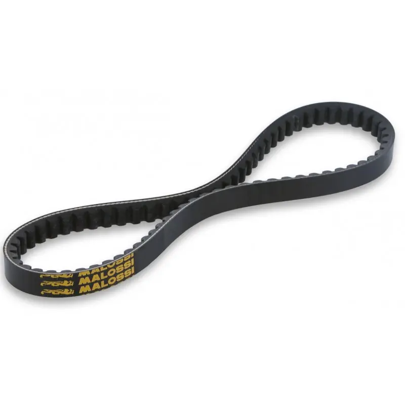 x special belt Nuovo Arrivo
