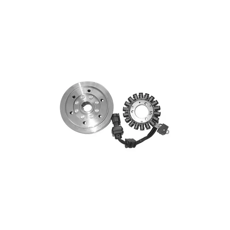 Non Perdere Volano mot.piaggio 250 carb. beverly/x9