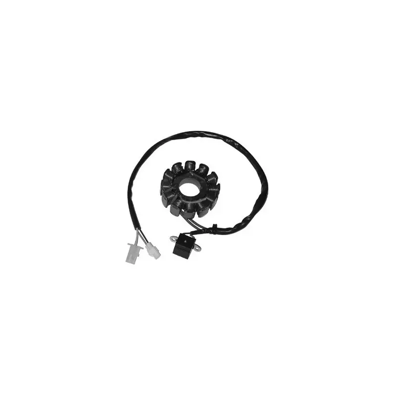 Ducati statore 12 poli aprilia 50 ditech Promo Stagionale