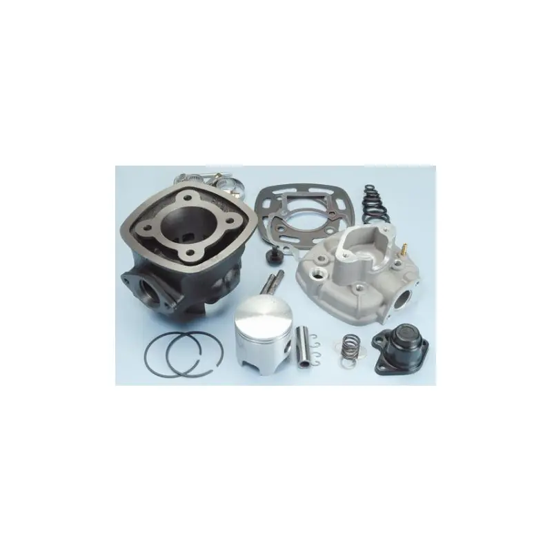 Kit piaggio nrg gilera d.47 Sconto