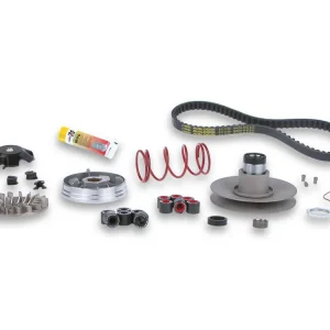 GRUPPO TRASMISSIONE COMPLETO OVER RANGE PER MOTORI YAMAHA-MINARELLI MALOSSI YAMAHA JOG Z 50 2T- Affare