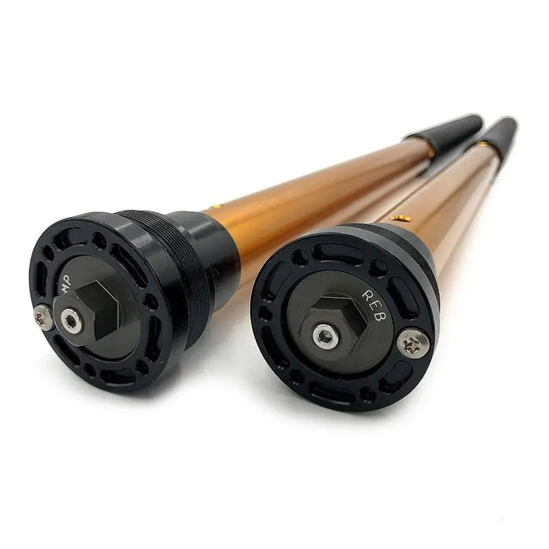Offerta Lampo Cartuccia Forcella Andreani Rally Bmw R12 GS-