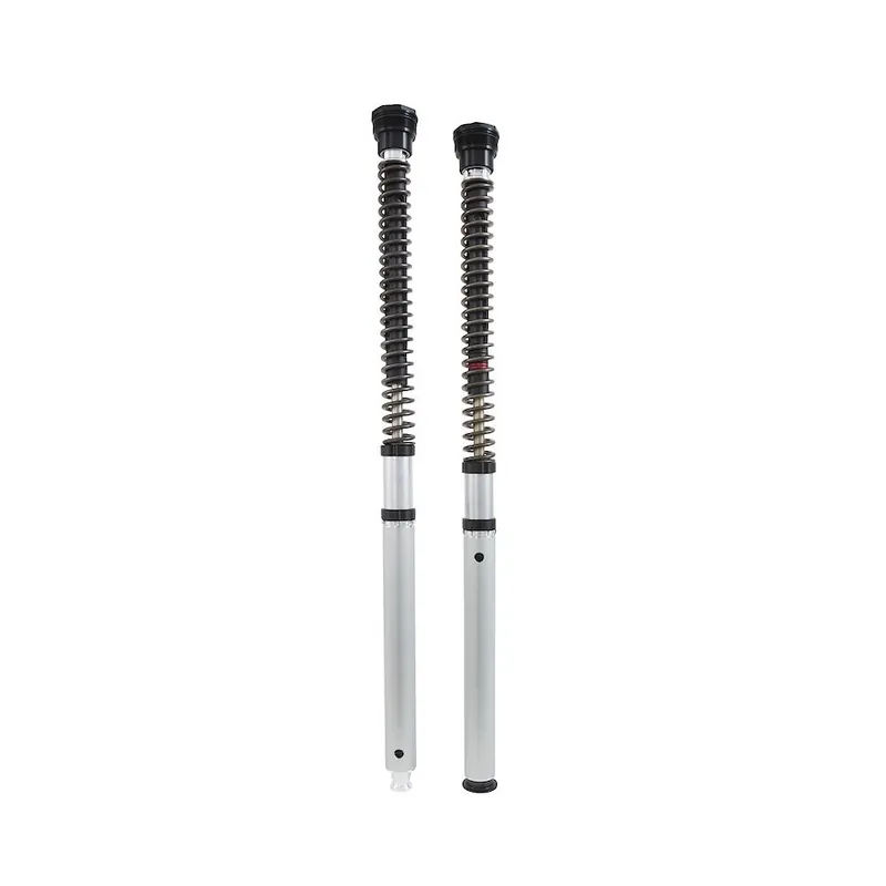 Di Tendenza Cartuccia Ohlins Nix 30 HD Softail Sport Glide-