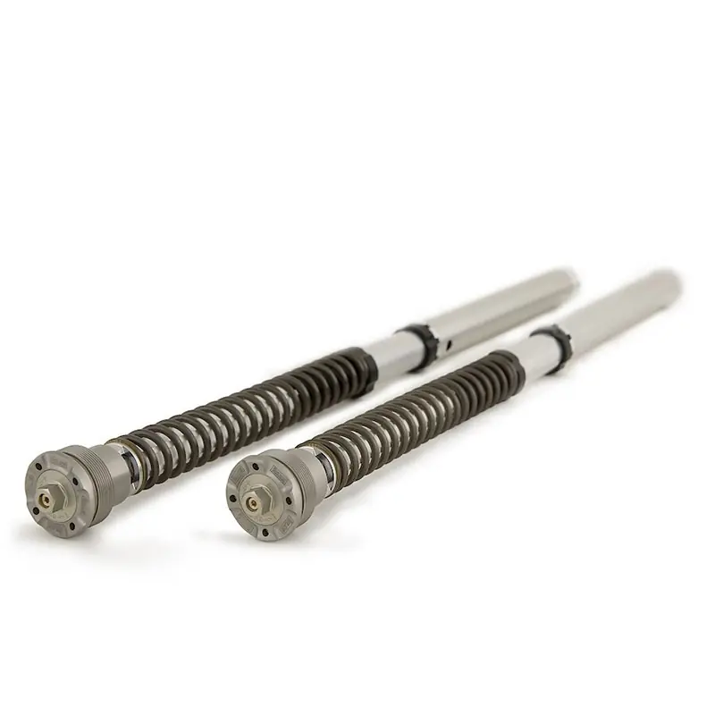 Cartuccia Ohlins Nix 30 Aprilia Tuareg 660- Scelto Dai Clienti