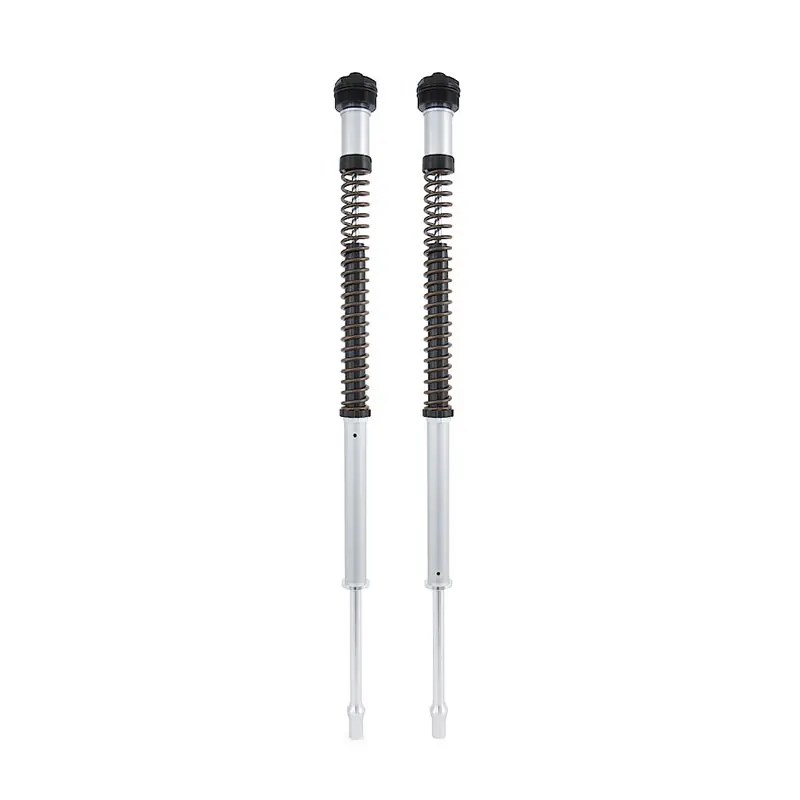 Cartuccia Ohlins Nix 22 Triumph Thruxton 1200- Offerta Lampo